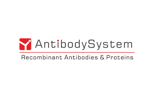 Anti-Human TROP2/TACSTD2/TROP-2 Antibody (FU-MK1)