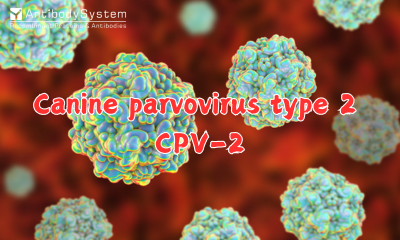 Canine Parvovirus Type 2 (CPV-2)