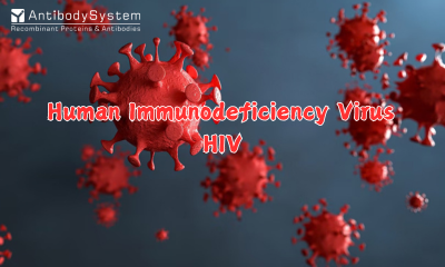 Human Immunodeficiency Virus (HIV)