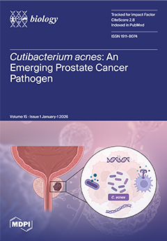 A Biomimetic In Vitro Model of the Pro-Inflammatory Microenvironment Recapitulates Type I/II Interferon Signaling and Refractory Acute Monocytic Leukemia