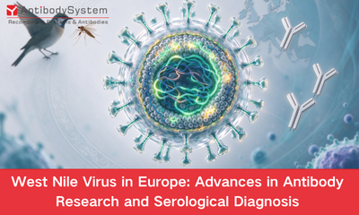 West Nile Virus in Europe: Advances in Antibody Research and Serological Diagnosis