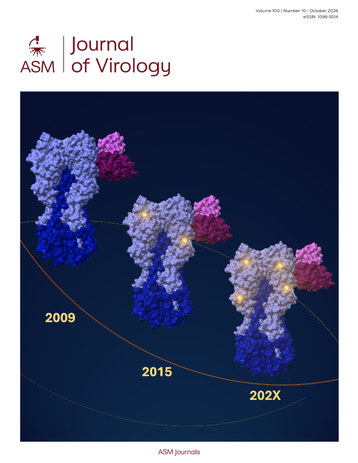XAB06, a glyco-humanized broad-spectrum anti- Pseudomonas aeruginosa polyclonal antibody, protects mice in a lethal sepsis model