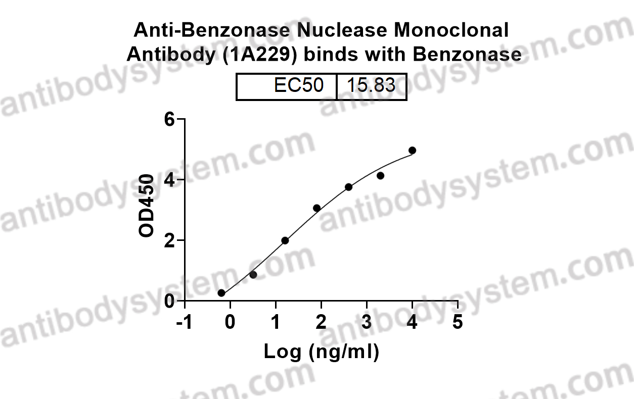 Anti-Benzonase Nuclease Monoclonal Antibody (1A229)