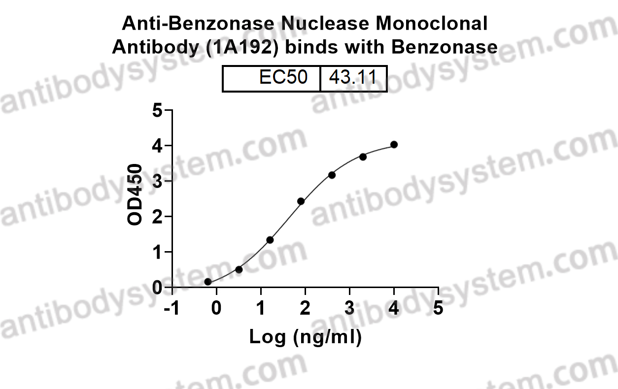 Anti-Benzonase Nuclease Monoclonal Antibody (1A192)