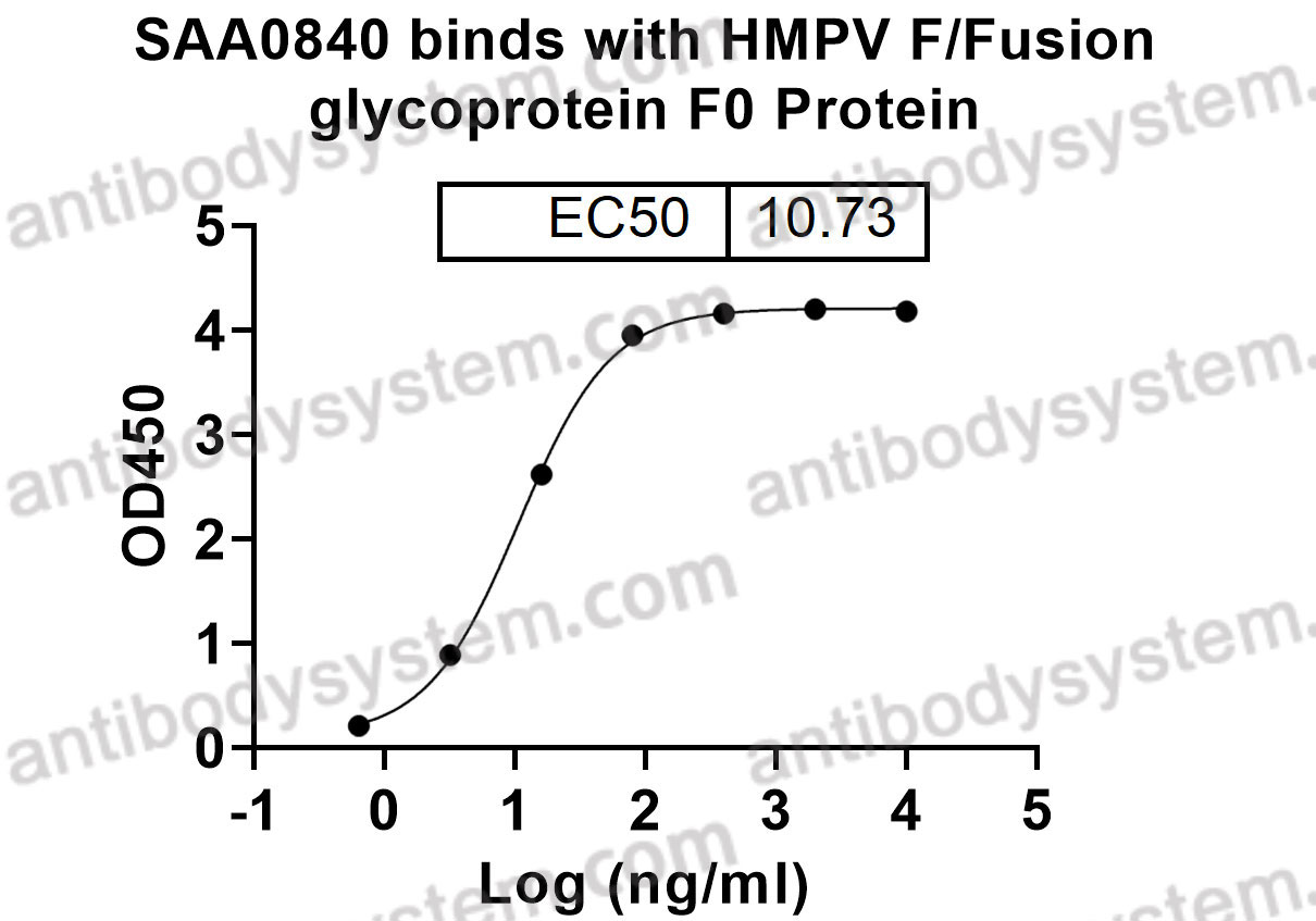Bioactivity for Anti-HMPV F/Fusion Protein Antibody (SAA0840) ?>