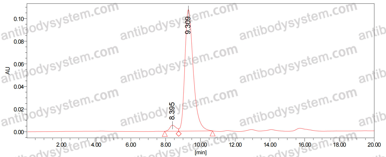 Anti-LPS/Lipopolysaccharide Antibody (SAA0581)