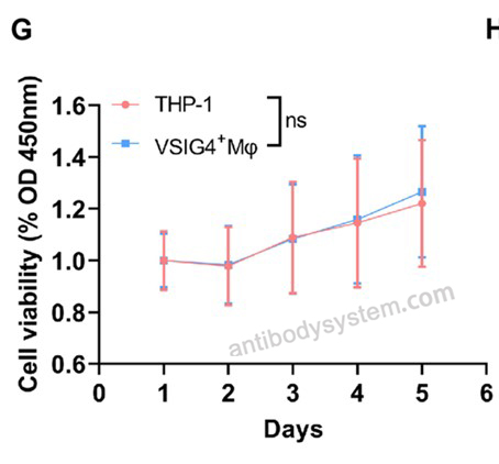Cell Sorting for InVivoMAb Anti-Human/Mouse VSIG4/CRIg Antibody (Iv0141) ?>