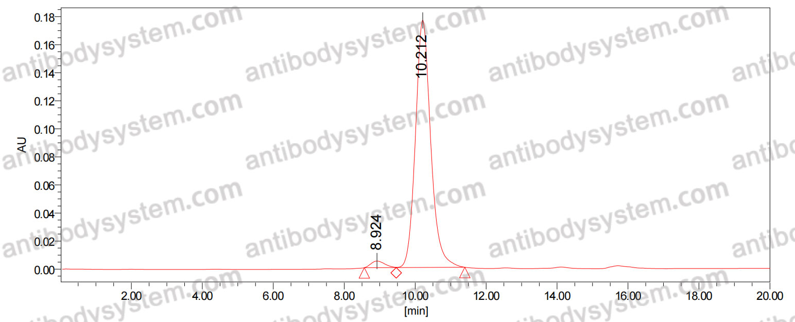 SEC-HPLC for InVivoMAb Anti-Human/Mouse VSIG4/CRIg Antibody (Iv0141) ?>