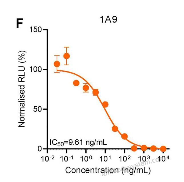 Bioactivity for InVivoMAb Anti-Nipah virus/NiV Prefusion Antibody (1A9) ?>